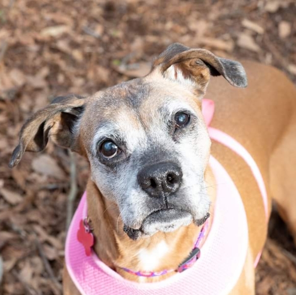 I'm Edith 🌻 - Picture 5 of 8